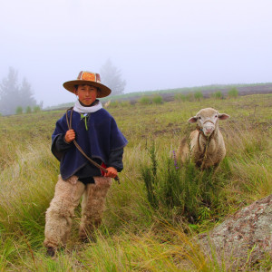 367461055 155813290885447 n