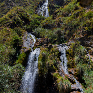 367495169 155813264218783 n