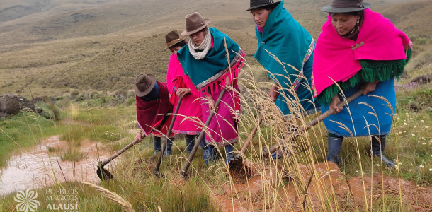 368325543 157001340766642 n