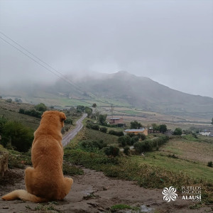 368370336 156441894155920 n