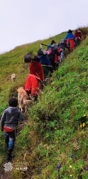 368377465 157000954100014 n