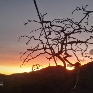 368405878 155812957552147 n