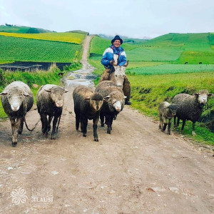 368446156 157001220766654 n