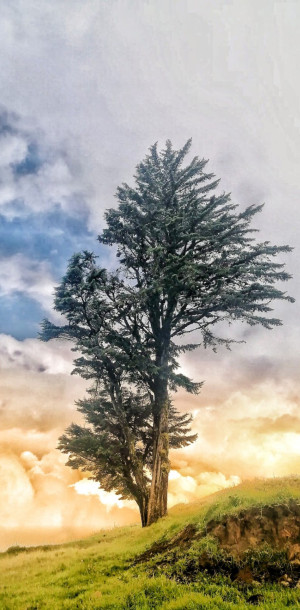 369256915 157591827374260 n