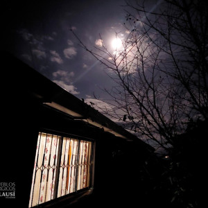 369708657 157001277433315 n