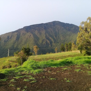 369880851 155812804218829 n