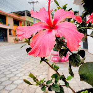 369907551 155813097552133 n