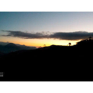 370040197 155812910885485 n