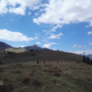 370487282 155812984218811 n